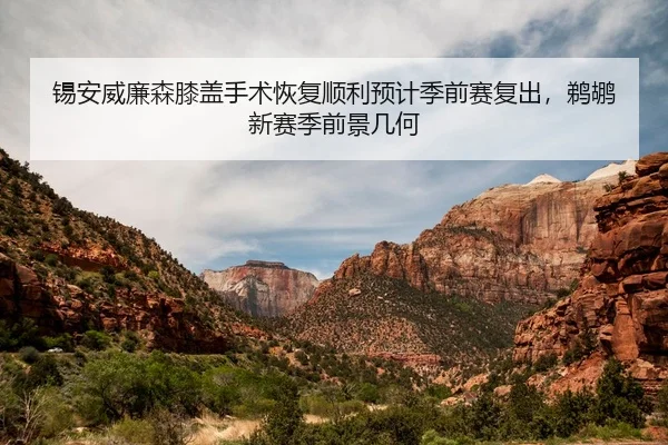 锡安威廉森膝盖手术恢复顺利预计季前赛复出，鹈鹕新赛季前景几何