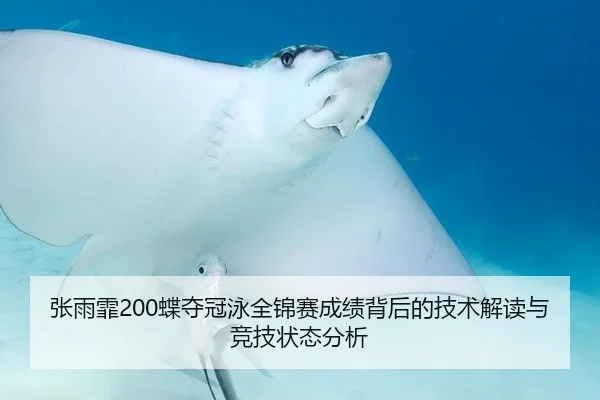 张雨霏200蝶夺冠泳全锦赛成绩背后的技术解读与竞技状态分析